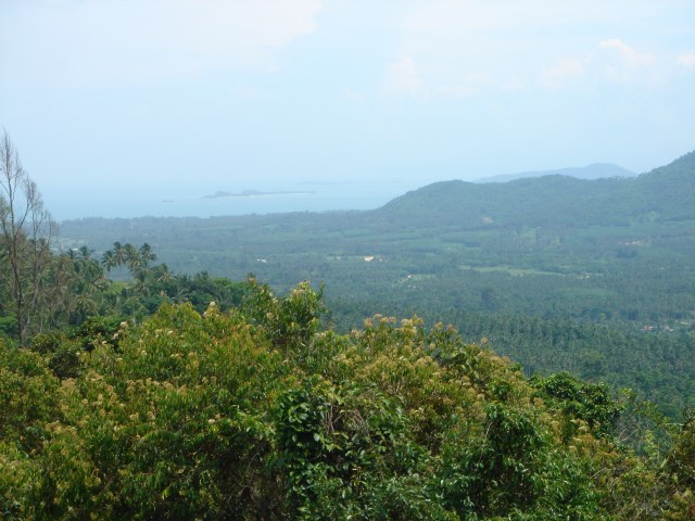 The reward for our climb