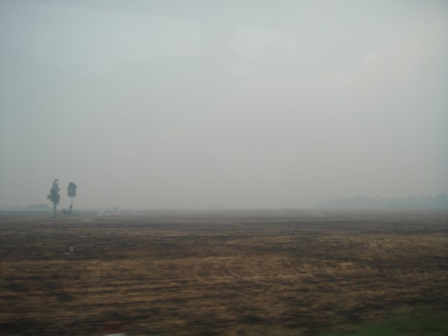 The scorched earth