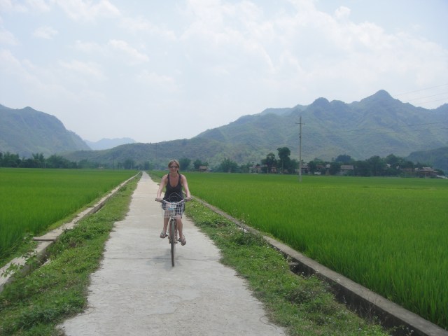Riding amidst a sea of green on the rice trails