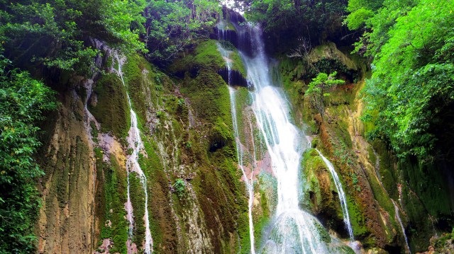 The central falls