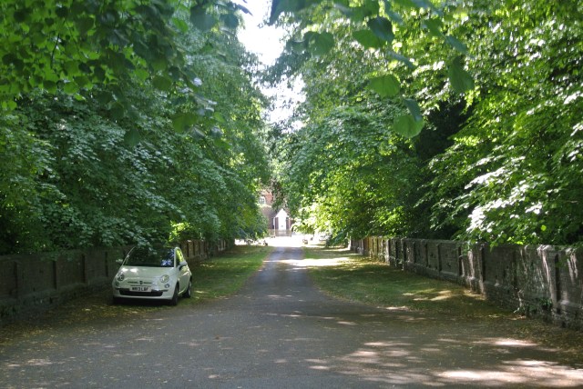 Leafy Hurstbourne Priors