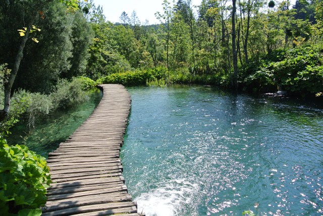 Walking on water