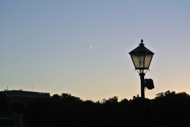 Silhouettes at dusk
