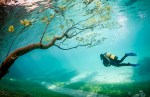 Solent News & Photo Agency