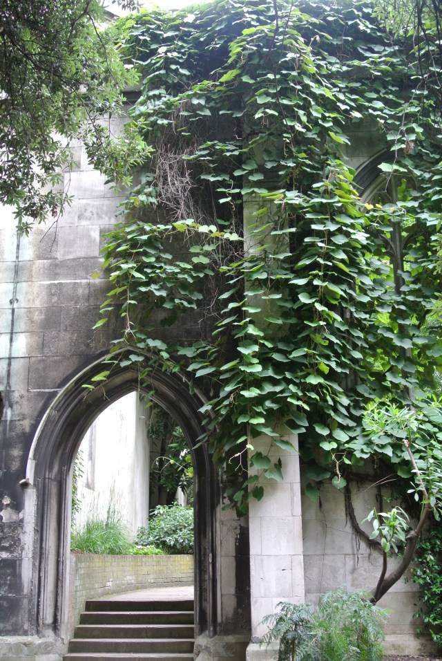An oasis in the heart of London