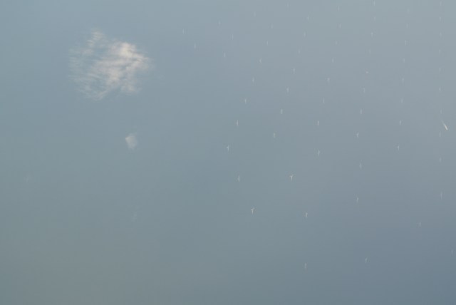 Wind farms in the North Sea