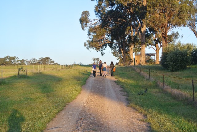 Content women, traipsing back to the farm