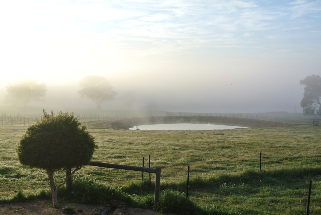 A beautiful morning bids us farewell