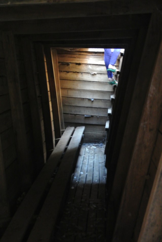 Home Improvement? Their very own bomb shelter