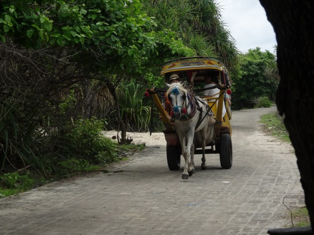 With no motorised vehicles on the island, horse and carts it is (although we, as usual, used our feet)