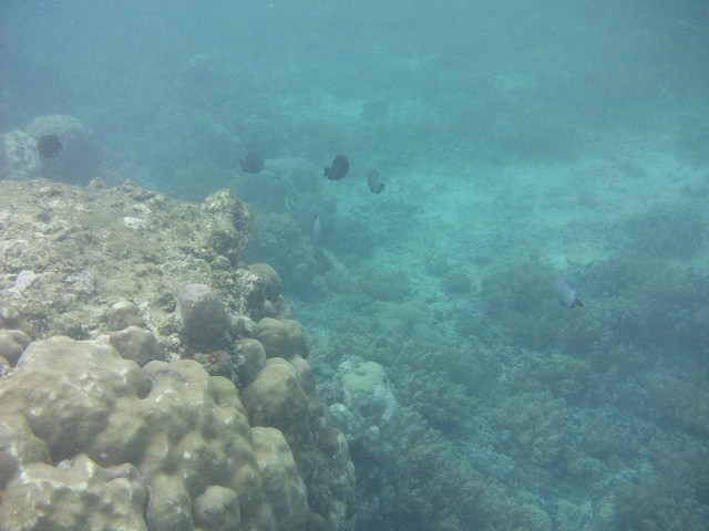 Deeper waters just north of Gili Meno