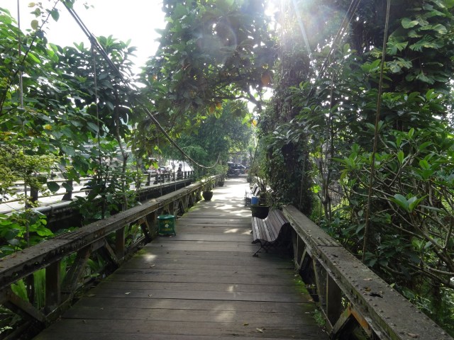 Starting to get glimpses of the lush Ubud the stories promised...