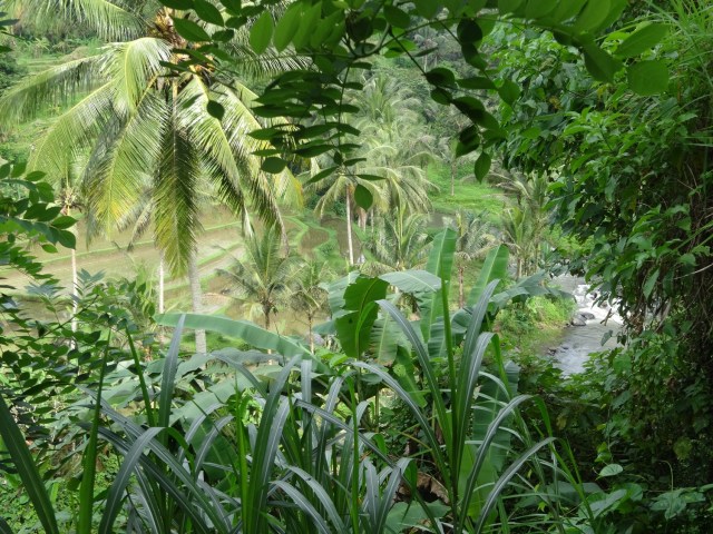 A glimpse of the valley on the way down
