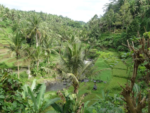 The gorgeous, terraced valley and river