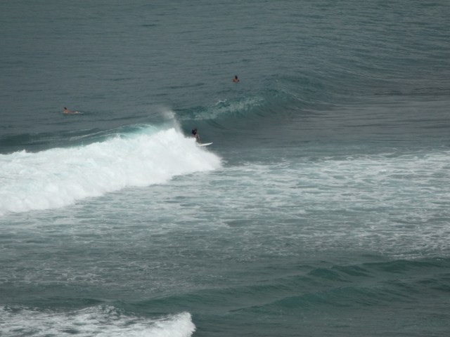 Surfs up!