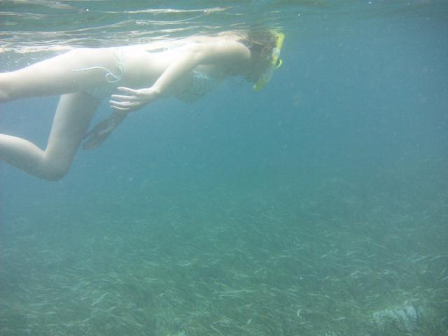 Sarah glides through the sea