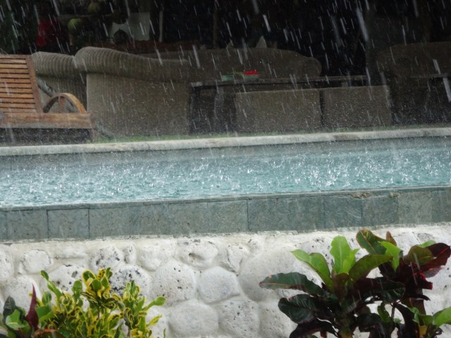 Sheltered from the storm