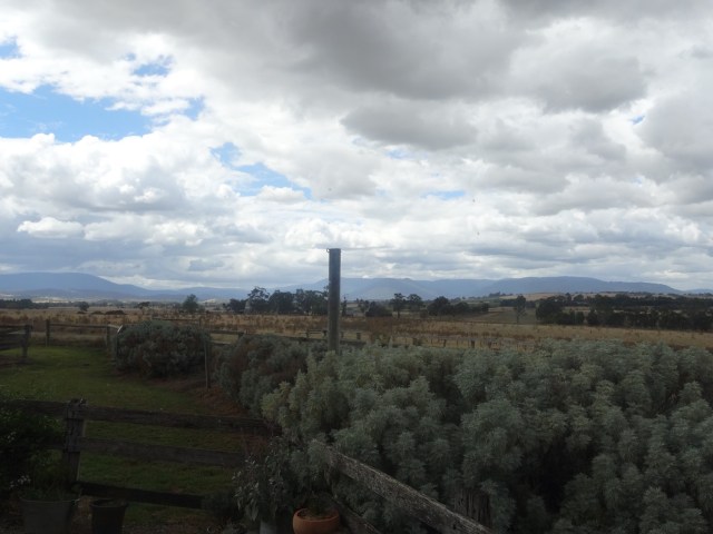 Quite the rustic view