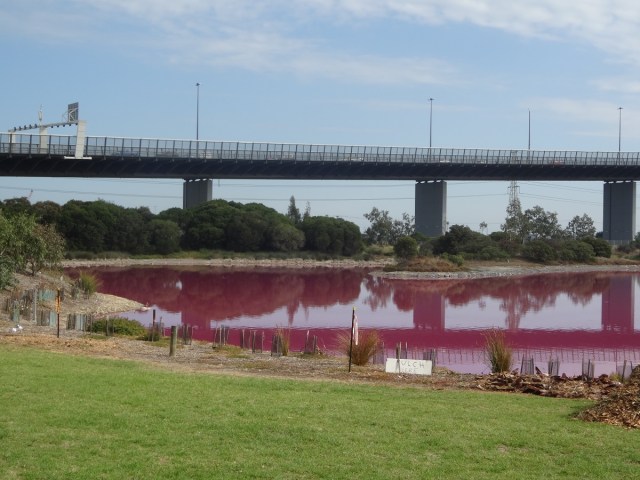 Investigating the Pink Lake