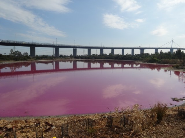 The intensity of the pink colour, was still a surprise