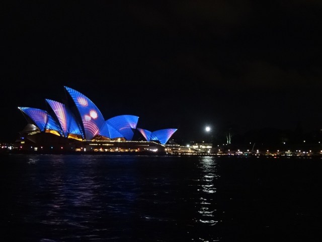 The Opera House' famous sails in bloom