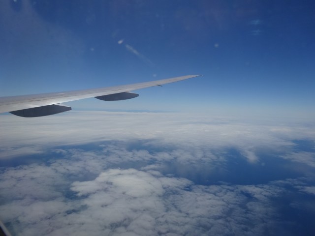 My first glimpse of the US on the distant horizon