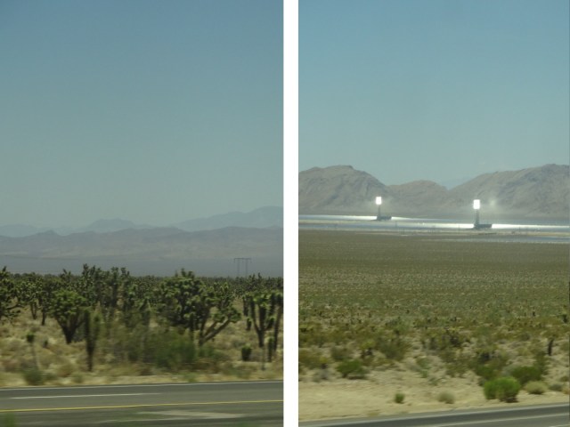 Desert cacti and solar panels…