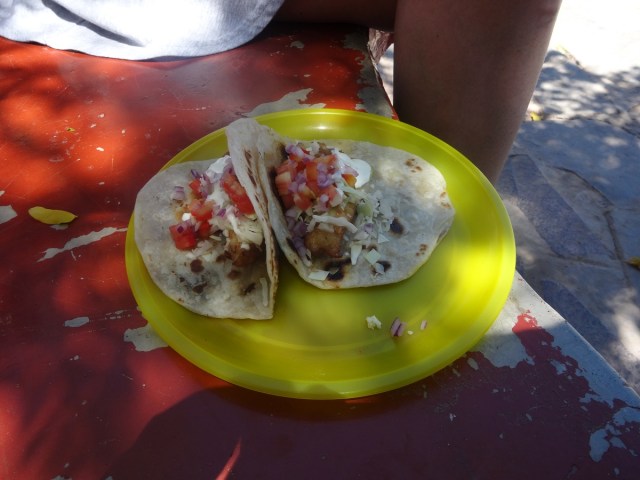 Our first culinary highlight in Mexico. Delicious Tacos Pescado