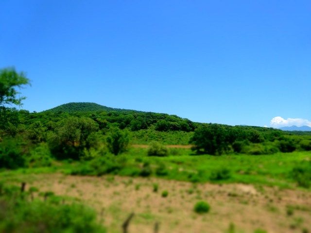 Making our way through the lowlands