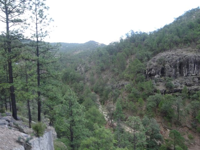Have we reached Deadwood yet?