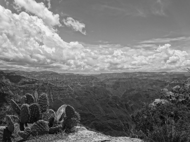 Getting all artistic in Copper Canyon