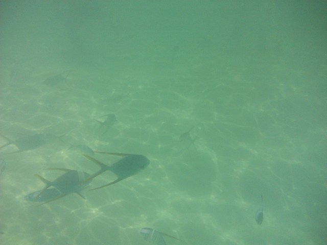 Breaking out the snorkels