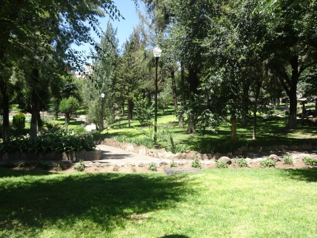 Some down time in the park