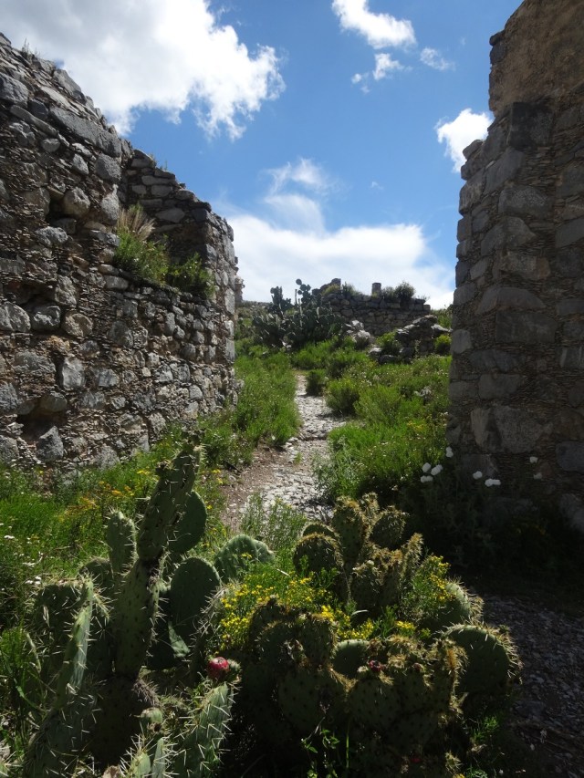 Wandering through this ancient town