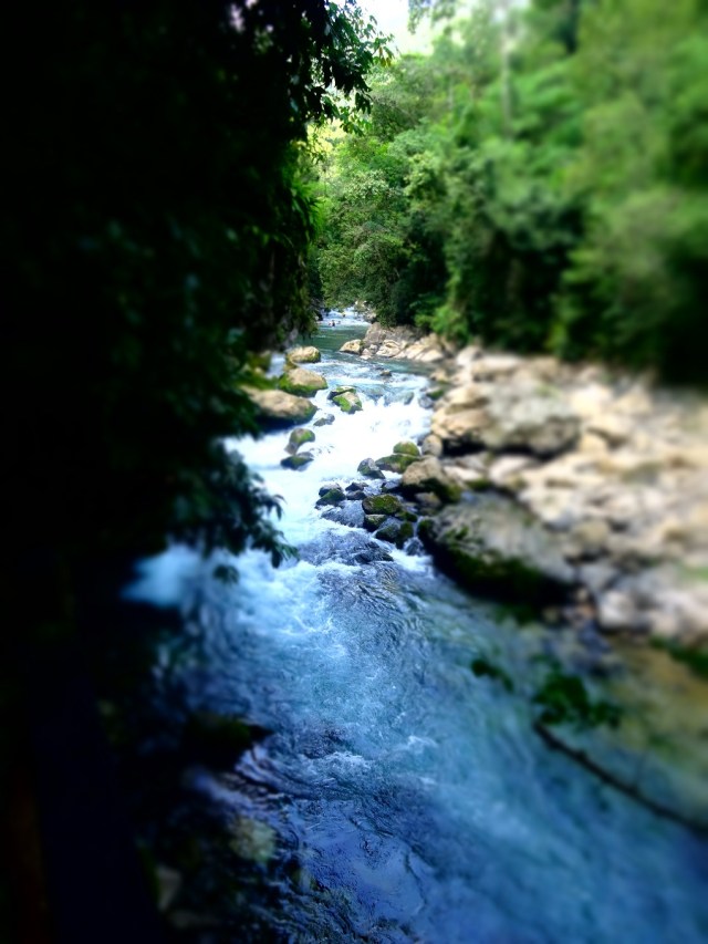 The Rio Puente de Dios