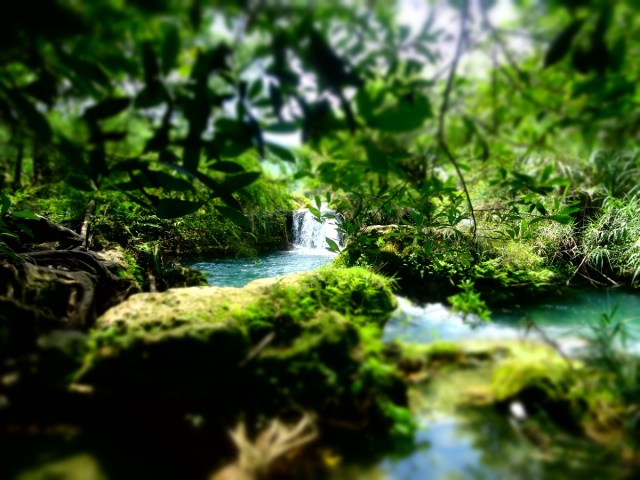 Stunning pools, without the crowds