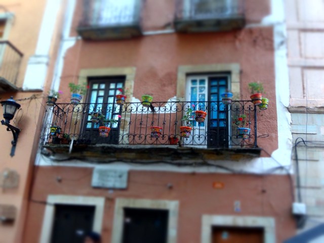 A splash more added colour from Guanajuato