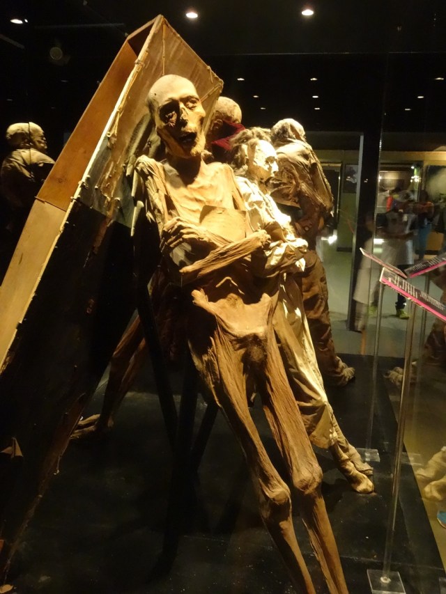 Nearest to the camera: The worlds most complete mummy