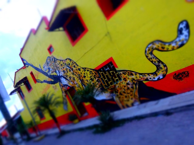 Some local colour