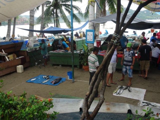 Finally, signs of life at the fish market