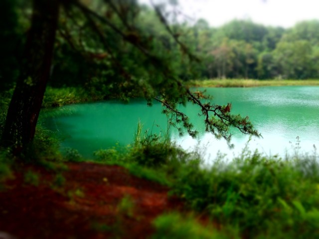 Our first sight of the Montebello Lakes on a drizzly morning
