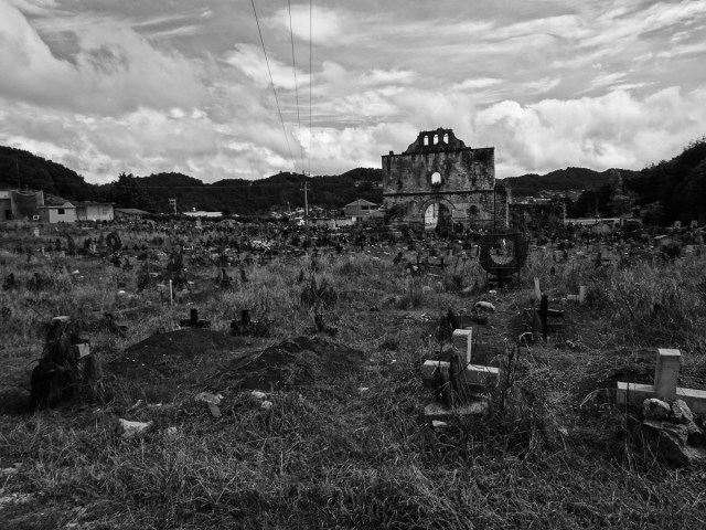 Pine needle covers and the ruined church