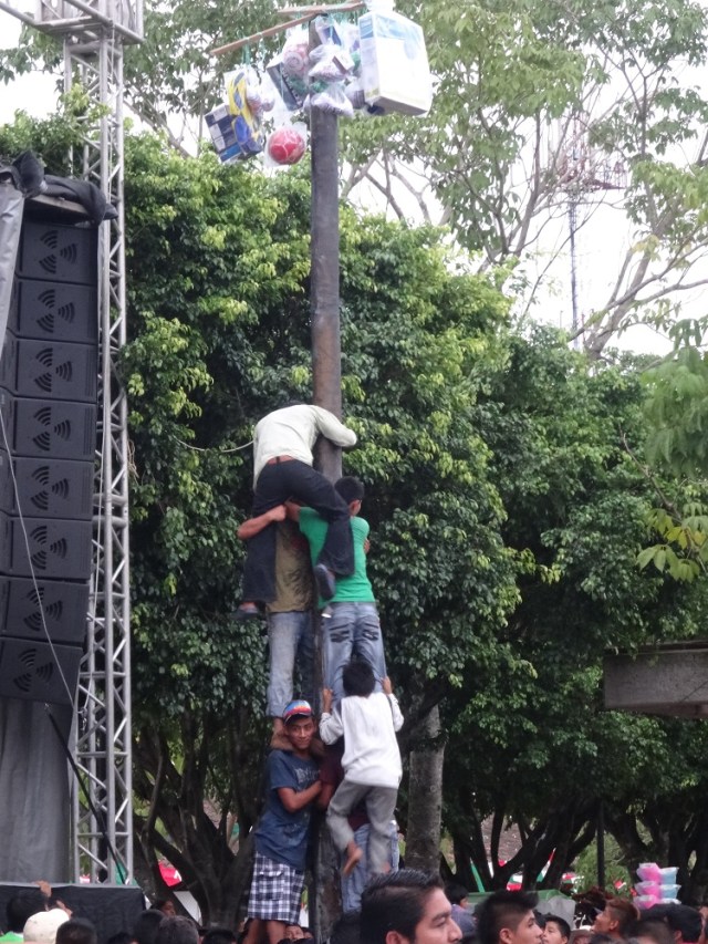 Elevating themselves to lofty heights...