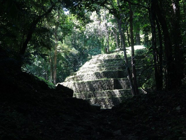 Rounding the bend of a narrow jungle path to see this!