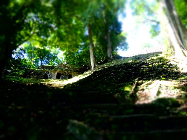 Ascending a grand staircase