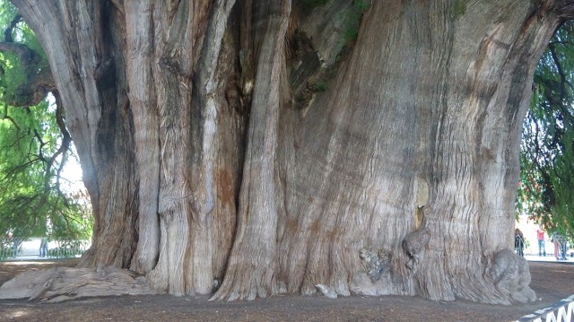 For a sense of scale
