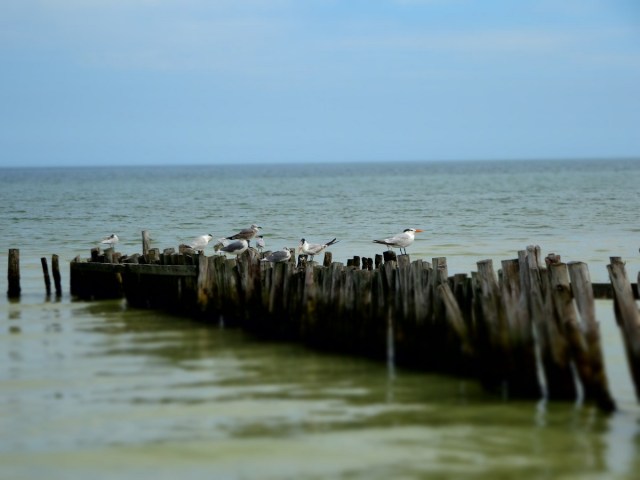 One of the busiest spots on this sleepy island...
