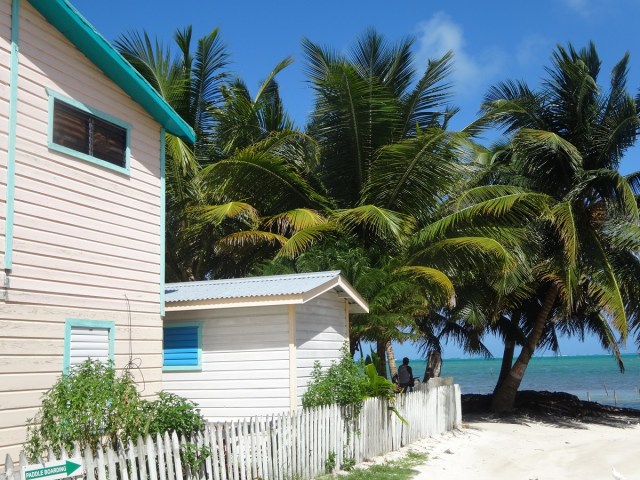 A tropical paradise