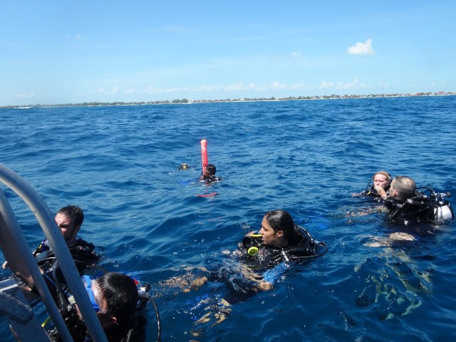 Sarah surfacing after our 5th and final practical dive