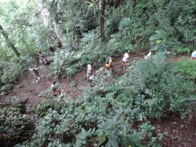 Looking down on our fellow ascendents (including Sarah)